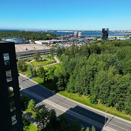 Penthouse With An Amazing View Apartment
