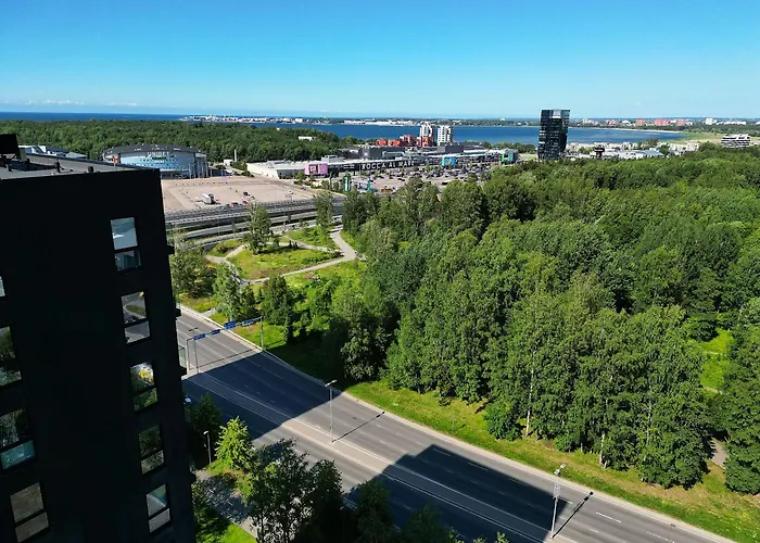 Penthouse With An Amazing View Apartment